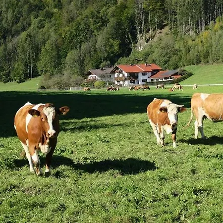 Leitner Farmház Kiefersfelden