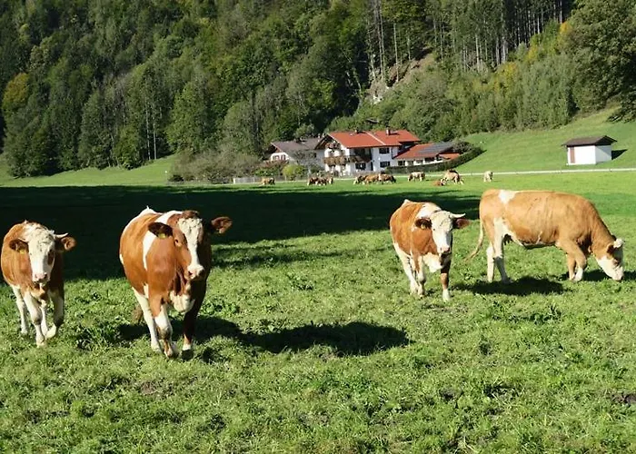 Leitner Gospodarstwo agroturystyczne Kiefersfelden